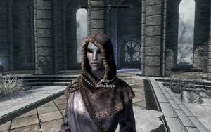 Brelyna Maryon Porn - Brelyna Maryon - Just a vanilla change - Potential Spouse for Skyrim