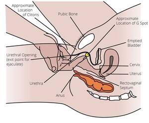 g spot position - Best sex position to hit g spot . Adult Images.