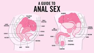 anal sex health - Anal Sex: Safety, How tos, Tips, and More | Teen Vogue