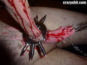 Bleeding Cock - CrazyShit.com | Torture Or Pleasure? - Crazy Shit