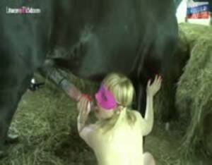 Mating Girl Porn - Horse mating a girl - Extreme Porn Video - LuxureTV