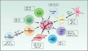 Girlsdoporn E324 - Frontiers | Immunoregulatory framework and the role of miRNA in the  pathogenesis of NSCLC â€“ A systematic review