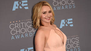 Hayden Panettiere Porn Captions - Pennsylvania man pleads guilty to 'Celebgate' nude-photo hack |  13newsnow.com