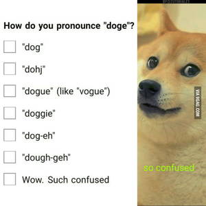 Doge Meme Porn - How do you pronounced "DOGE?