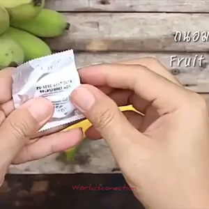 Banana In Pussy Sleeping - If only bananas came with a natural cover so we wouldnt have to use a  condom! : r/DiWHY