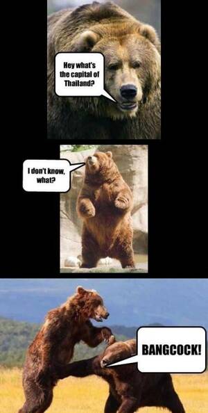 Funny Bear Porn - thumbs.pro : Bears jokes