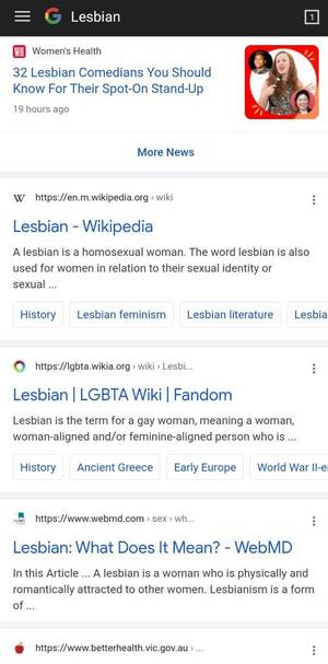 Lesbian Porn History - IMPORTANT NEWS! Just noticed during some *cough* research that porn is no  longer the first results when Googling lesbian. One step at a time to being  a person :') Now I gotta