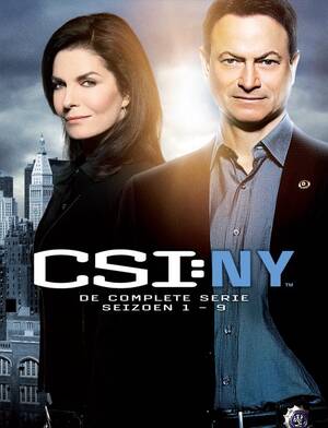 Anna Belknap Porn - CSI: New York - Seizoen 1 t/m 9 (Dvd), Anna Belknap | Dvd's | bol.com