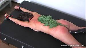 nettle bdsm whipping - Spanking with nettle - XVIDEOS.COM