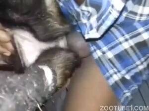 horny sex pets - Farmer has wild sex with horny dog - Zoo Porn