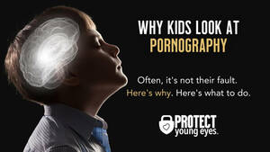 Homemade Toddler Banned Porn - Why Kids Look at Pornography (It's not their fault) - Protect Young Eyes