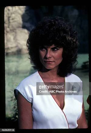 Adrienne Barbeau Hardcore Porn - 319 fotos e imÃ¡genes de Adrienne Barbeau Photos - Getty Images