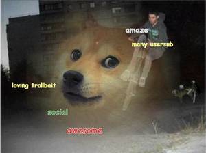 Doge Meme Porn - many viral such picture wow doge porn, porge