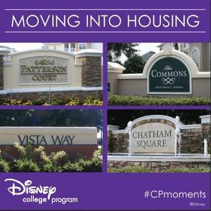 Disney College Porn - The four housing complexes at Disney World.