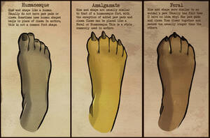 foot references - Feets â€” Weasyl