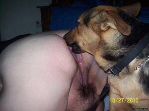 Guy Licking Pussy German Shepherd - German shephard lick pussy NEW porn website images.