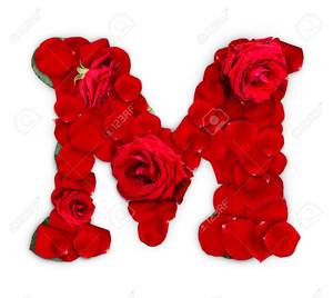 M&m Characters Porn - Letter M made from red roses and petals isolated on a white background  Stock Photo -