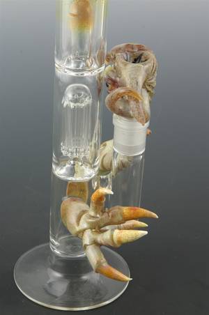 Glass Bong Porn - SALT Heady Monster Straight Water Pipe