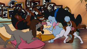 Animal Porn Cartoons Oliver - desoto,georgette,rita (disney) | oliver and company xxx animal #9351683696  genitalia anus balls bow canine canine canine pussy collar | Disney Porn