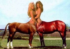 Female Centaur Porn - â€œI'm ...