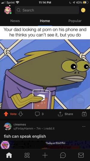 Fish Porn Cartoon - It is fate(fish watch porn) : r/memes