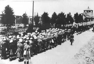 Nazi Concentration Camps Women Sex - The Prisoners of the Women's Concentration Camp, RavensbrÃ¼ck