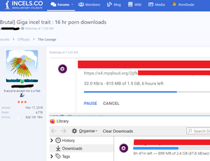 brags - Gross incel coomer brags about the gigs of porn he's downloading :  r/IncelTear