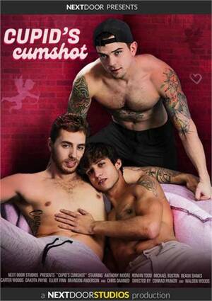 Cupid Yaoi Porn - Gay Porn Videos, DVDs & Sex Toys @ Gay DVD Empire