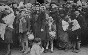 Nazi And Jewish Women Porn - Jewish women and children from Subcarpathian Rus await selection on the  ramp at Auschwitz-Birkenau