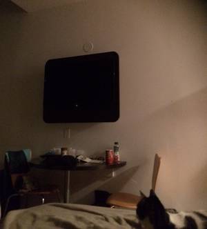 Motel Room Porn - Photo of Motel 6 Long Island City - Long Island City, NY, United States