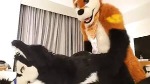 Fursuit Porn - Kemono fursuit porn videos & sex movies - XXXi.PORN