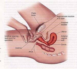 g spot position - Sex positions to target the g spot Sex very hot gallery site.