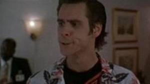 Ace Ventura Shemale Porn - Axe cop gif porn - Ace ventura pet detective imdb jpg 477x268