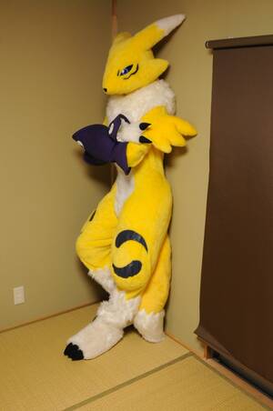 Deviantart Furry Cosplay Porn - renamon photo1 by ajisai-rebellion on DeviantArt