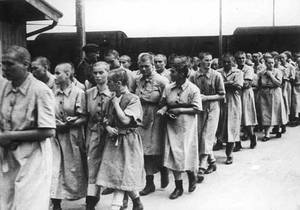 Nazi Concentration Camps Women Sex - This image shows female prisoners in Auschwitz who were deemed suitable for  work but did not