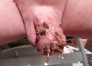 home sex videos with insects - Insects Videos / Anal Zoofilia / Most popular Page 1