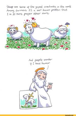 Gay Sheep - humon / all / funny posts, pictures and gifs on JoyReactor