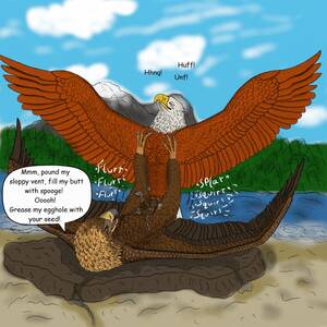 Female Eagle Porn - e621 animal_genitalia anvil_position avian bald_eagle beak bird  brown_feathers claws cloaca comic_sans cum dialogue dirty_talk duo eagle