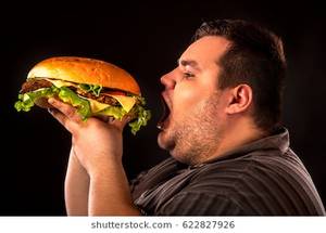 fat people eating like slobs - Diet failure of fat man eating fast food hamberger. Breakfast for overweight  person who spoiled