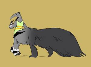 Anteater Furry Porn - Anteater Furry Porn | Sex Pictures Pass