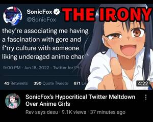 Nepiophile Porn Animated - Disliking* loli makes you a pedophile, according to alt-right weebs who  don't play fighting-games. (It's really because Fox is trans) :  r/Gamingcirclejerk