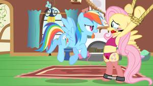 Furry Porn Rainbow Dash And Fluttershy - ... crop top bra, crying, explicit, flutterdash, fluttershy, gag, lesbian,  midriff, panties, rainbow dash, rope, sex toy, show accurate, show accurate  porn ...