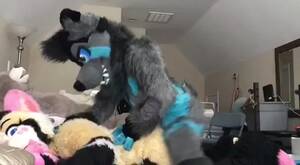 Furry Grinding Porn Movies - Fursuit dry humping - ThisVid.com
