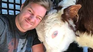 after school masturbation - Man drives his pet cow more than 2,200 mile for surgery