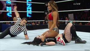 Brie Wwe Porn - While we're on the subject of pinfalls, Nikki Bella gave a 3DS to 90% of  the NXT locker room. : r/SCJerk