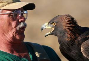 Golden Eagle Porn - 