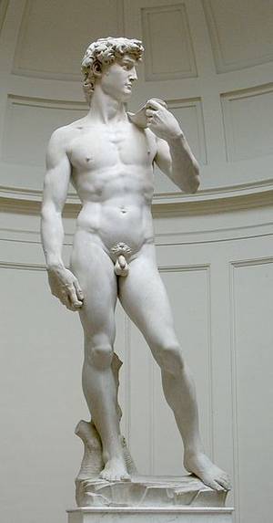 david stone's tiny dick - Michelangelo's David in the Galleria dell'Accademia