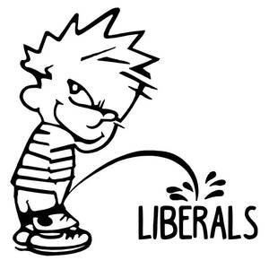 Calvin And Hobbes Pissing Porn - Amazon.com: Calvin Peeing On Liberals Decal, Funny Car Stickers, Calvin  Sticker (H 6 by L 6 Inches, Black) : Everything Else