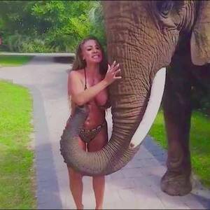 elephant cock deepthroat - Blonde tramp with wild cravings explores zoophilia as she lets an elephant  explore her snatch - LuxureTV
