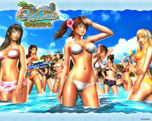 beach porn games online - Sexy Beach Premium Resort Â» Download Hentai Games